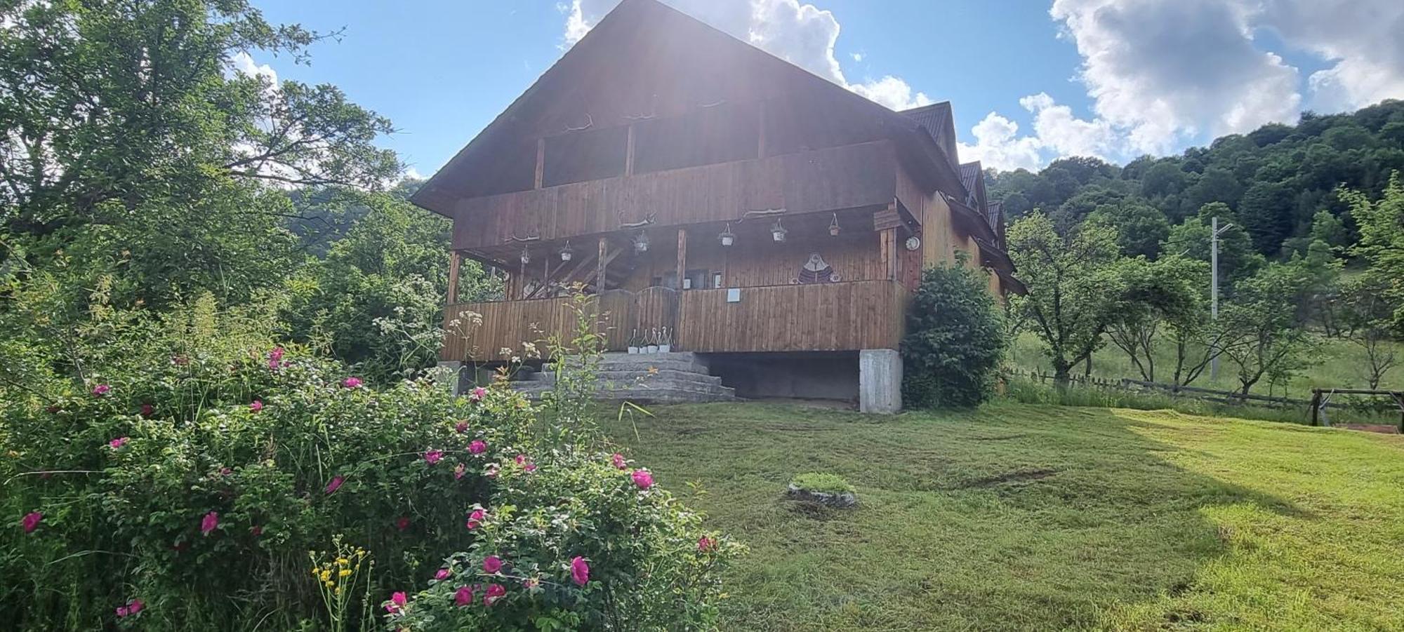 Cabana Suciu Villa Rachitele Eksteriør billede