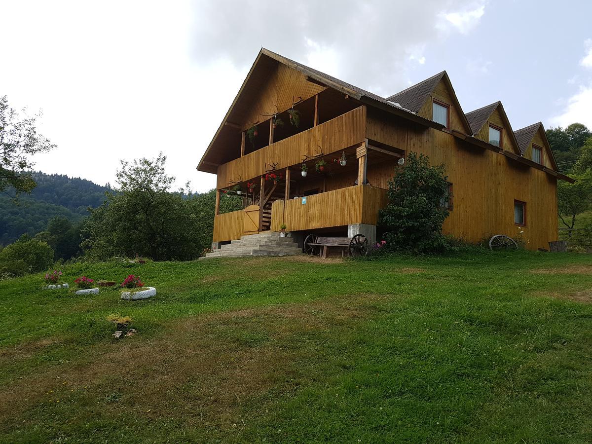 Cabana Suciu Villa Rachitele Eksteriør billede