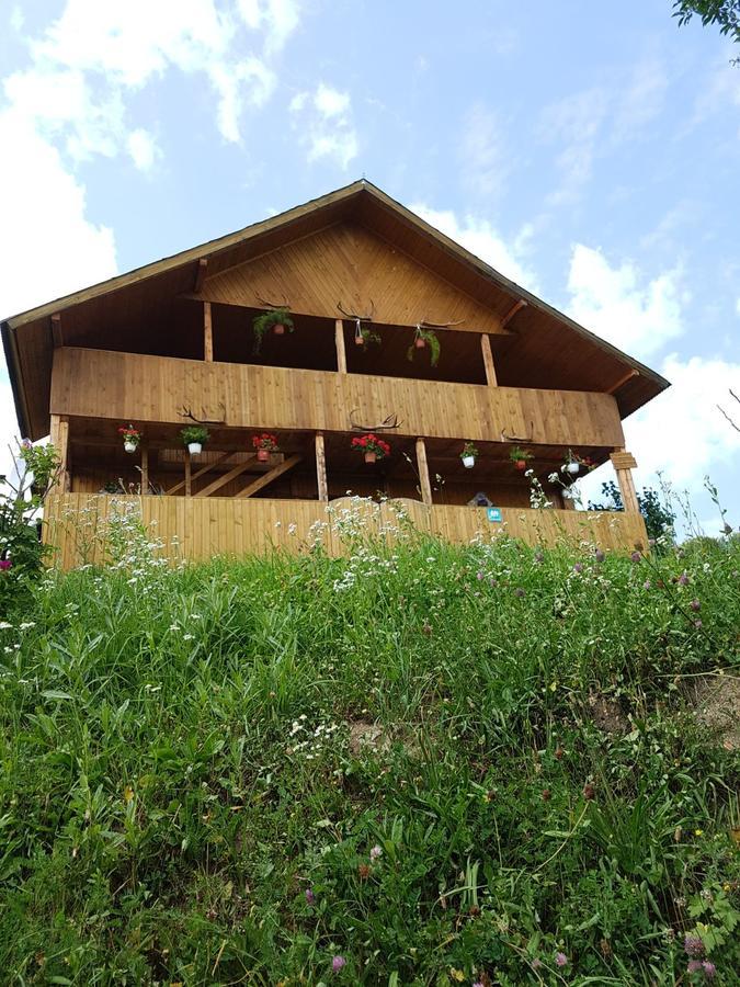 Cabana Suciu Villa Rachitele Eksteriør billede